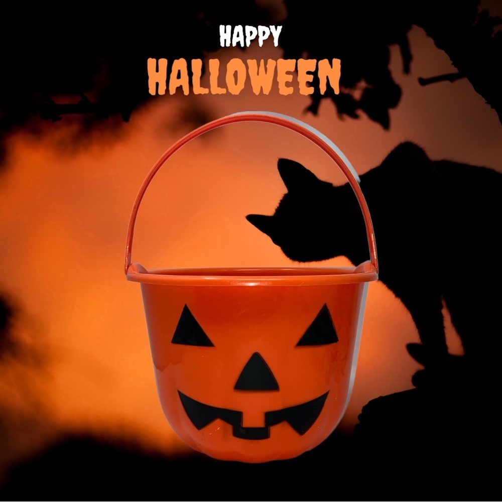Halloween Pumpkin Pal Bucket. With Handle 8”x 6.5” - Picture 1 of 4